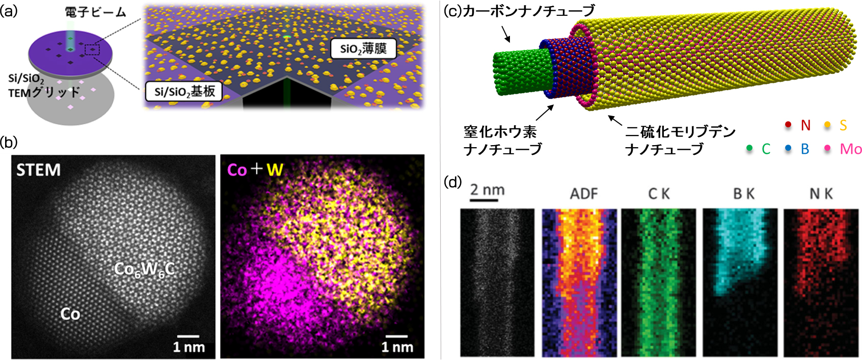 One-dimensional hetero-nanotube structure analysis by non-destructive TEM observation