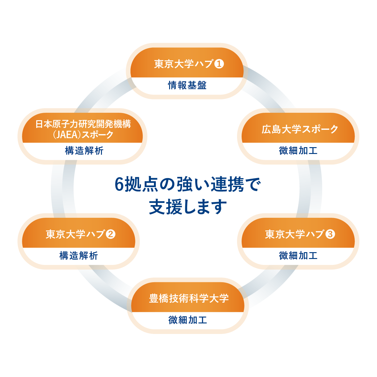 実施体制（東大ハブ）